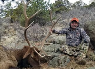 Миллионера из США, который годами убивал диких животных, затоптали слоны в Африке