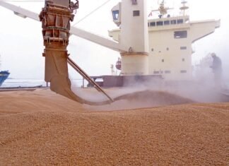 «Это не доказательства»: в Израиле ответили на заявление Украины относительно судна с краденым зерном