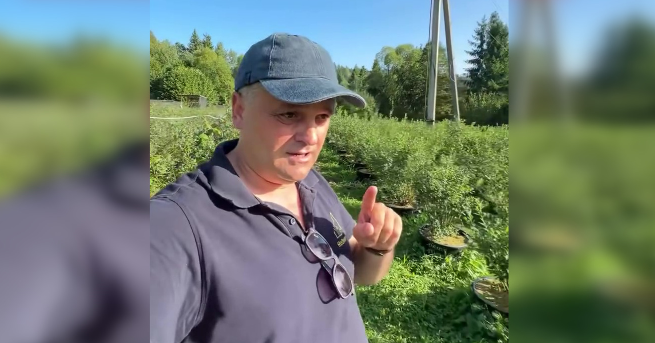 Посадил и стал миллионером: украинец додумался, как зарабатывать в Карпатах (фото)