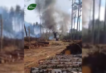 На Чернігівщині російський дрон атакував трактор лісівників під час роботи