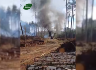 На Чернігівщині російський дрон атакував трактор лісівників під час роботи