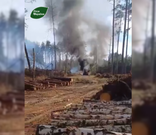 На Чернігівщині російський дрон атакував трактор лісівників під час роботи