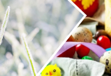 Мокрий сніг і заморозки: якою буде погода на Великдень на Чернігівщині