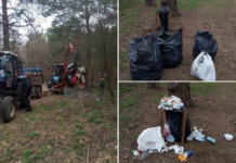 З Ялівщини у Чернігові вивезли понад 7 кубів сміття: у парку тривають роботи з благоустрою