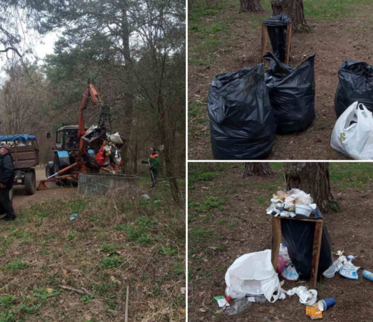 З Ялівщини у Чернігові вивезли понад 7 кубів сміття: у парку тривають роботи з благоустрою