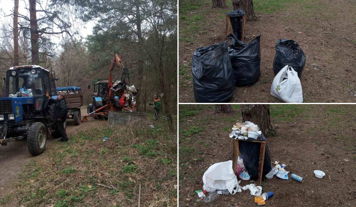 З Ялівщини у Чернігові вивезли понад 7 кубів сміття: у парку тривають роботи з благоустрою