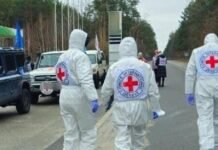 В Україну повернули тіла тисячі загиблих: попереду ідентифікація