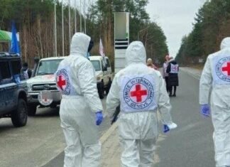 В Україну повернули тіла тисячі загиблих: попереду ідентифікація