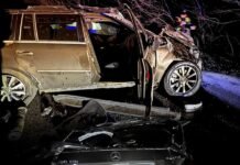 Поблизу Киїнки п‘яний водій Mercedes врізався у дорожній знак і перекинувся
