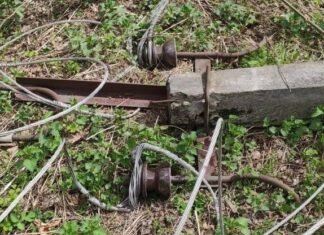 Обірвані дрони, короткі замикання та пошкоджені опори: на Чернігівщині ліквідовують наслідків негоди