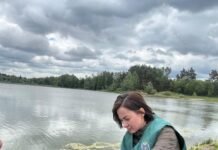 У річці на Чернігівщині виявили масову загибель риби: відібрано проби води