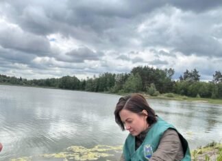 У річці на Чернігівщині виявили масову загибель риби: відібрано проби води