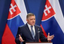 Чехія видала дозвіл на проліт літака словацького прем’єра Роберта Фіцо до москви — ЗМІ