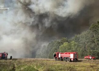 Масштабну пожежу на 70 гектарів під Києвом спричинила ворожа диверсія — "Ліси України"