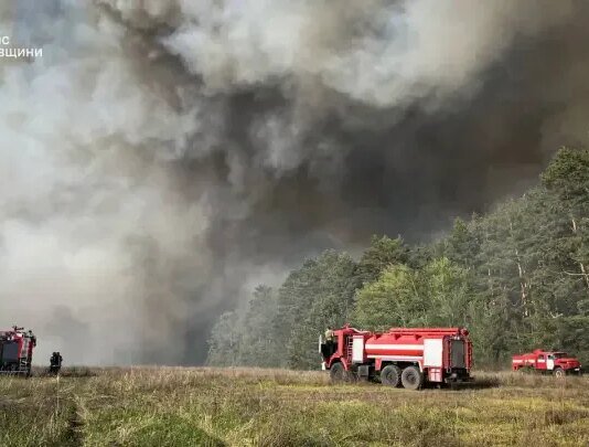 Масштабну пожежу на 70 гектарів під Києвом спричинила ворожа диверсія — "Ліси України"