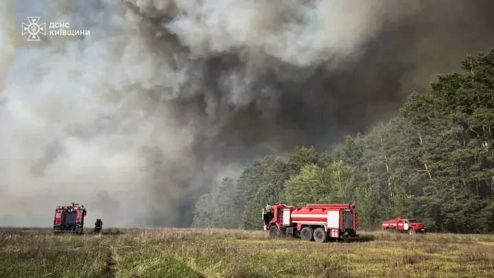 Масштабну пожежу на 70 гектарів під Києвом спричинила ворожа диверсія — "Ліси України"