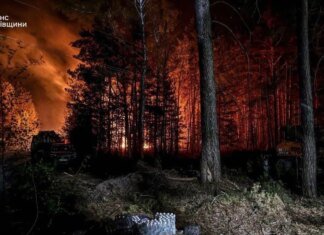 У Зоні відчуження триває ліквідація масштабної лісової пожежі, вогнем пройдено 1200 га