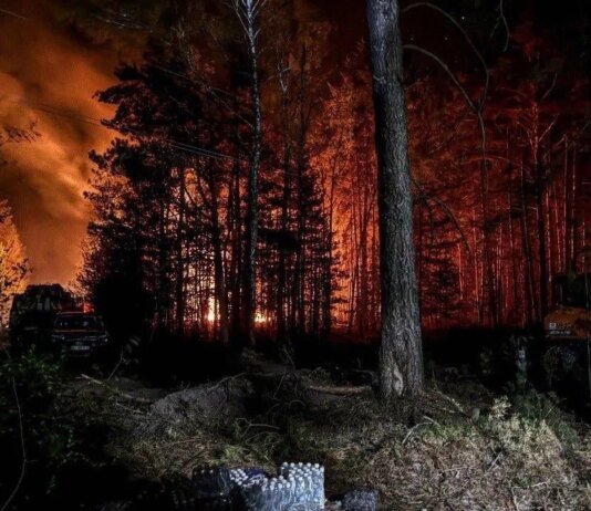 У Зоні відчуження триває ліквідація масштабної лісової пожежі, вогнем пройдено 1200 га