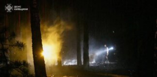 Масштабно лісова пожежа на Київщині: перевищення шкідливих речовин у повітрі не зафіксовано