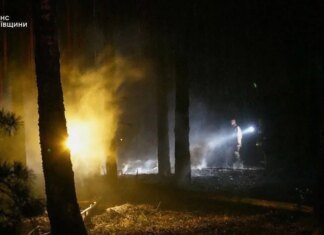 Масштабно лісова пожежа на Київщині: перевищення шкідливих речовин у повітрі не зафіксовано