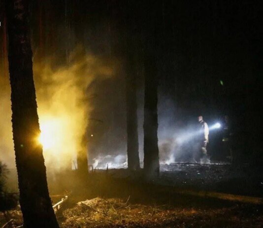 Масштабно лісова пожежа на Київщині: перевищення шкідливих речовин у повітрі не зафіксовано
