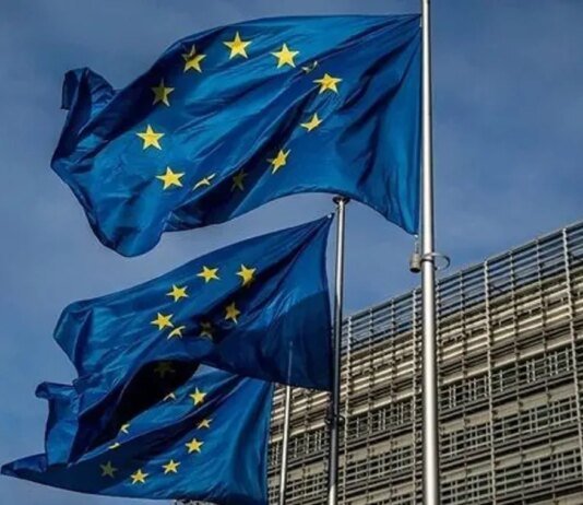 Дві країни ЄС хочуть відкласти відкриття переговорних кластерів з Україною — ЗМІ