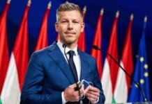 Мадяр знову заявив, що може зустрітися із Зеленським на Закарпатті