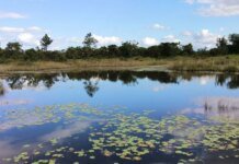 В Україні на водоймах з початку травня загинуло 34 людини