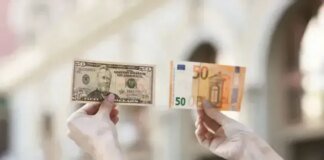 Гривня відіграла падіння за день — курс валют на 29 травня