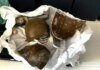 У Вінниці в школі здетонувала навчальна граната, двоє школярів звернулися до медиків
