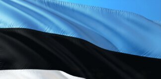 Естонія застерегла ЄС від прямих переговорів із росією через ризик стати "нейтральним посередником"