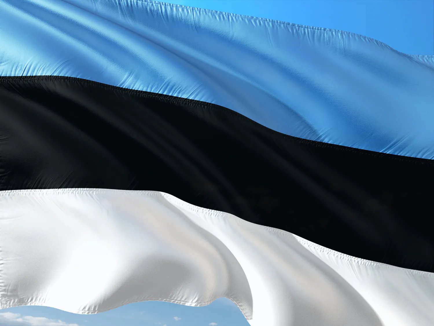 Естонія застерегла ЄС від прямих переговорів із росією через ризик стати "нейтральним посередником"