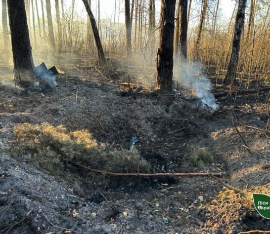 Внаслідок російських атак на Чернігівщині та Сумщині вигоріло понад 16 гектарів лісу