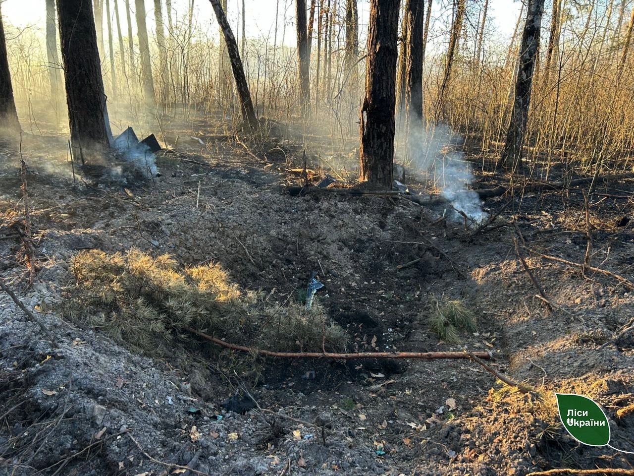Внаслідок російських атак на Чернігівщині та Сумщині вигоріло понад 16 гектарів лісу