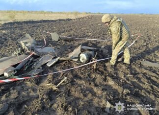 У Чернігівському районі знайшли залишки ударного БпЛА: бойова частина не здетонувала