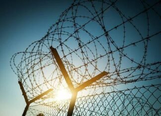 27-річна мешканка Чернігівщини допомагала ухилянтам тікати за кордон: як її покарав суд