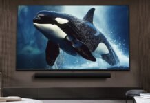 Качественный и недорогой телевизор LG: какая модель до 15 000 грн популярна в Украине (фото)