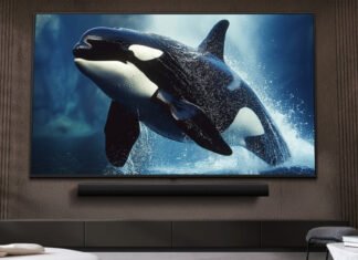 Качественный и недорогой телевизор LG: какая модель до 15 000 грн популярна в Украине (фото)