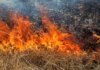 На Чернігівщині через бойові дії сталося три пожежі