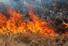 На Чернігівщині через бойові дії сталося три пожежі