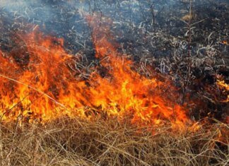 На Чернігівщині через бойові дії сталося три пожежі