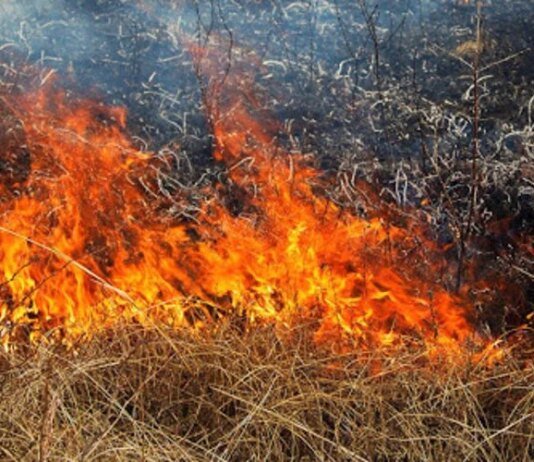 На Чернігівщині через бойові дії сталося три пожежі