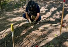 На Чернігівщині знайшли 210 артилерійських снарядів калібру 23 мм
