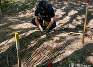 На Чернігівщині знайшли 210 артилерійських снарядів калібру 23 мм