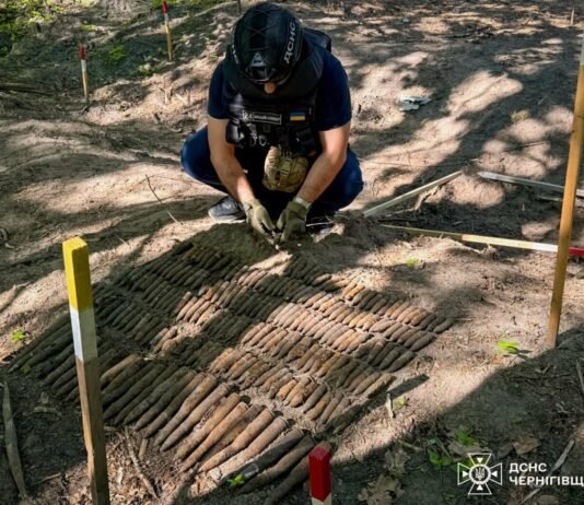 На Чернігівщині знайшли 210 артилерійських снарядів калібру 23 мм
