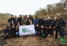 Сосна звичайна та береза повисла: на Чернігівщині висадили понад 2 га нового лісу