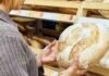 В Україні прогнозують нове подорожчання хліба: що вплине на ціни