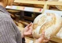 В Україні прогнозують нове подорожчання хліба: що вплине на ціни