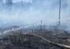 На Чернігівщині під час гасіння сухостою виявили тіло жінки