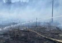 На Чернігівщині під час гасіння сухостою виявили тіло жінки
